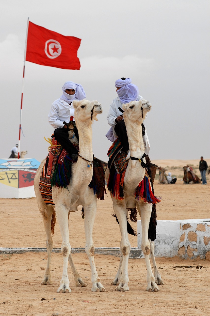 Découvrez la Tunisie au printemps : Un voyage enchanteur